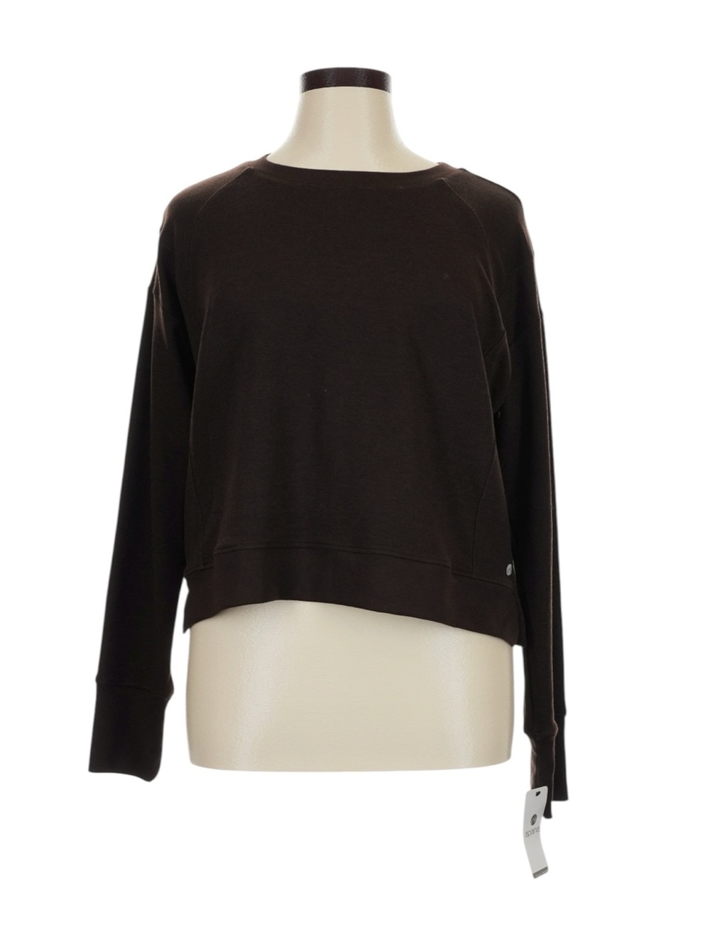 Apana Cropped Crewneck Sweatshirt XL Chocolate Brown Boxy Active Casual NWT